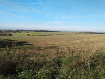 Scenic view of field against sky
