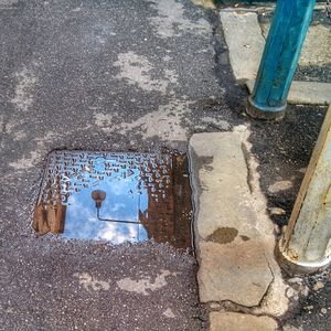 Reflection of trees in puddle