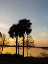 Silhouette palm trees against sky during sunset