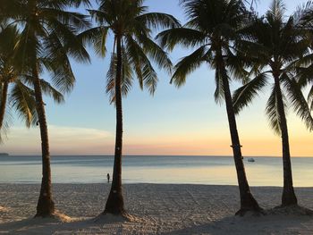 Palm trees on beach against sky during sunset