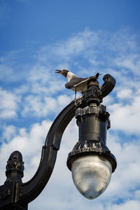 Low angle view of bird on lamp post