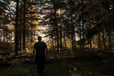 Rear view of man standing on footpath in forest