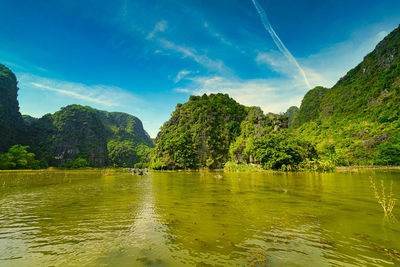 Scenic view of river by trees against sky