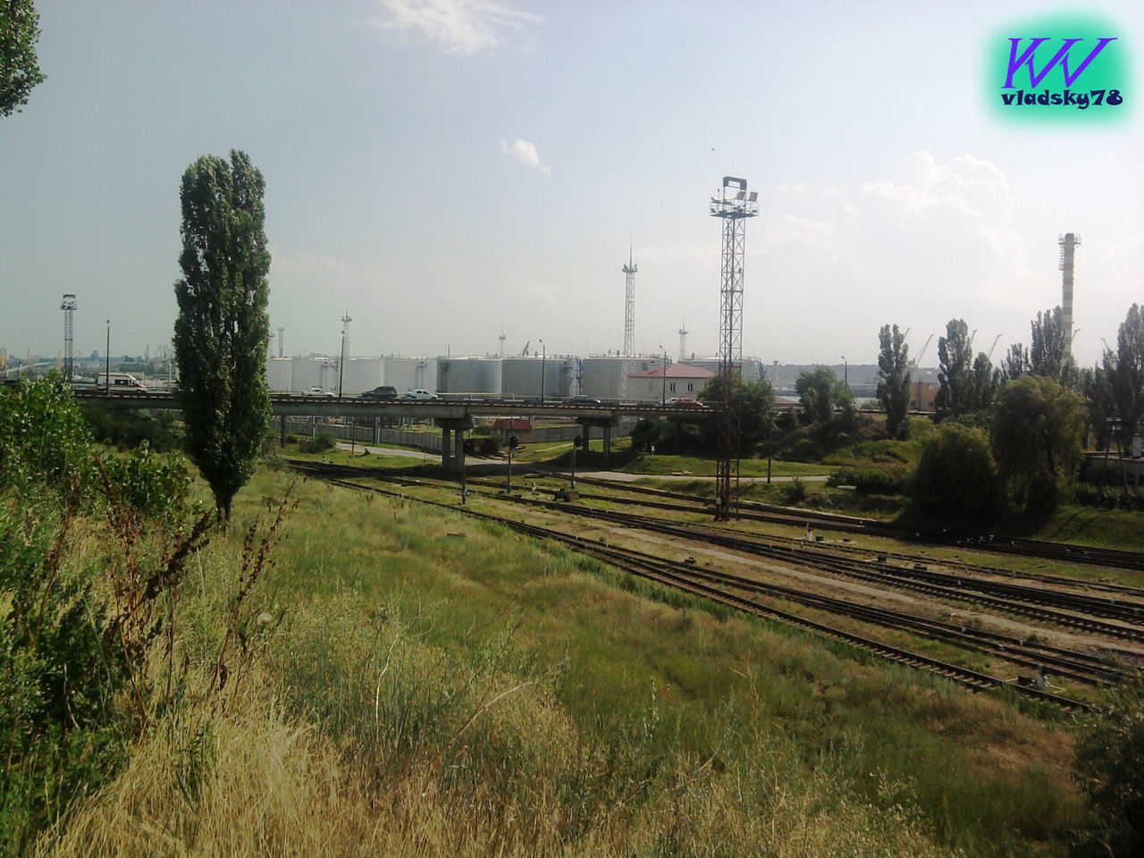 tree, sky, grass, rail transportation, transportation, no people, day, nature, outdoors