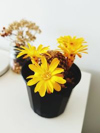 Close-up of yellow flower in vase