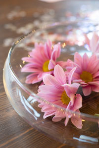 Close-up of pink flower on table