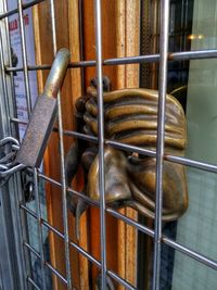 Close-up of metal gate