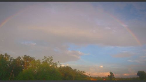 Scenic view of trees against sky at sunset