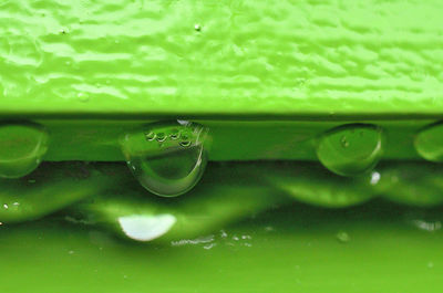 Full frame shot of water drops on green leaf