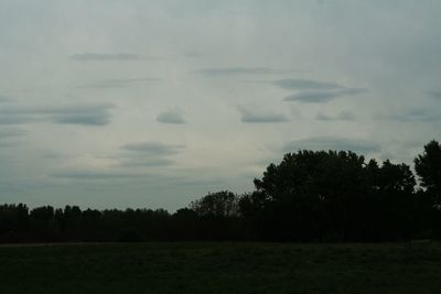 Silhouette trees on field against sky