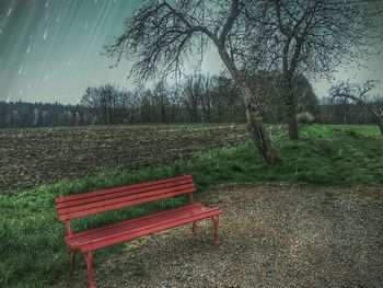 Empty bench in park