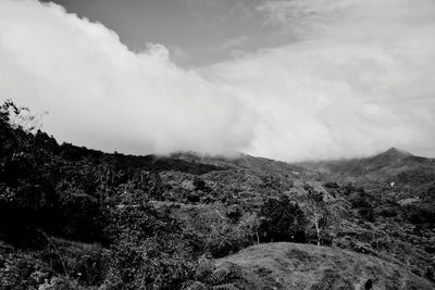 Scenic view of landscape against sky