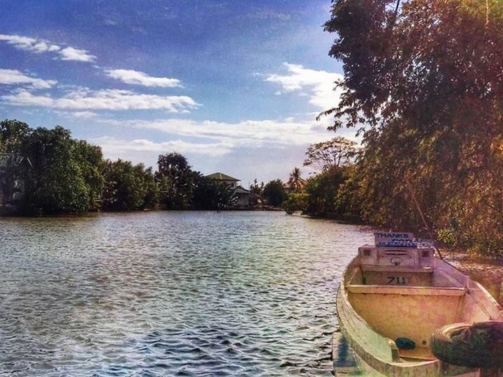 tree, water, nature, sky, beauty in nature, no people, outdoors, tranquility, scenics, day