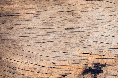 Close-up of weathered wooden plank