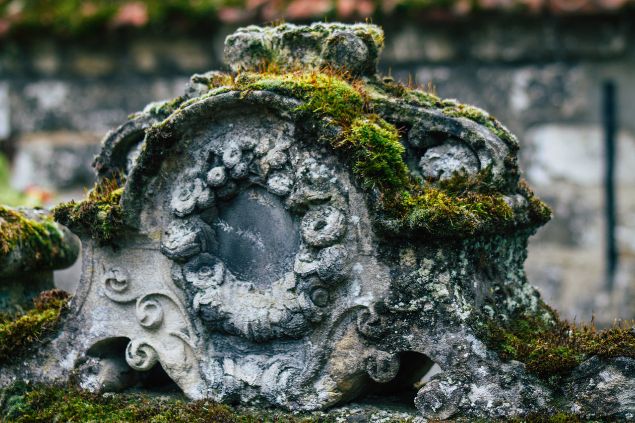 CLOSE-UP OF OLD STATUE AGAINST MOSS