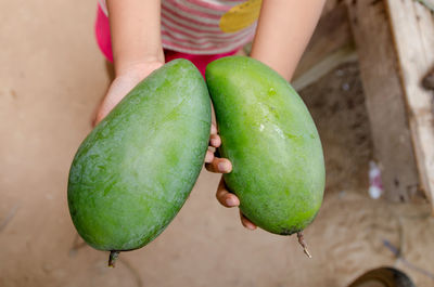 Close-up of woman holding raw mangoes