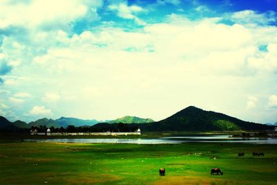 mountain