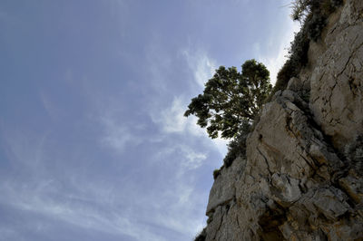 Low angle view of trees against sky