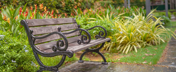 Empty bench in park