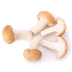 Close-up of cookies against white background