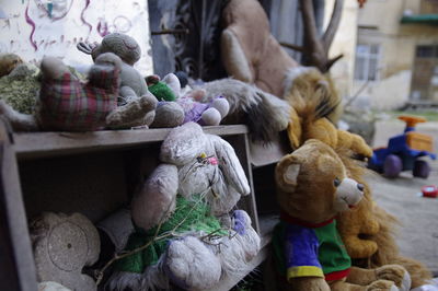 View of abandoned stuffed toys