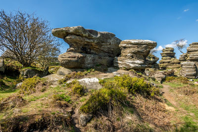 Rock formation amidst trees against sky