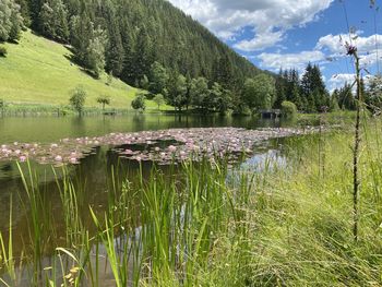 Scenic view of lake against sky