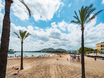 Palm trees on beach against sky