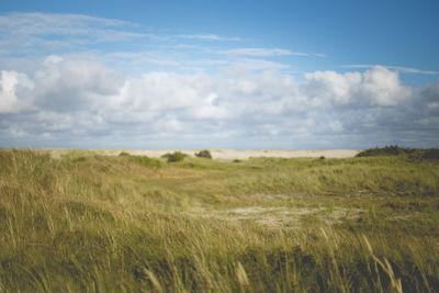 Scenic view of field against sky