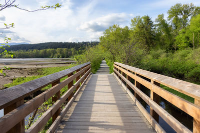 Footbridge amidst trees against sky