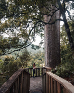 Man standing on footbridge in forest