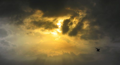 Silhouette airplane flying against sky during sunset