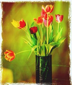 Close-up of red flowers