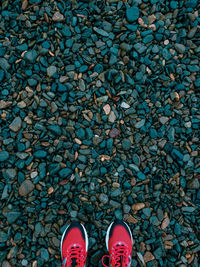 Low section of person standing on pebbles