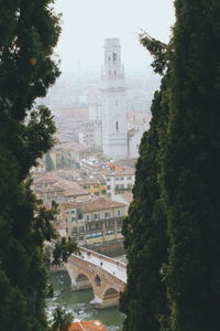 Trees and buildings against sky