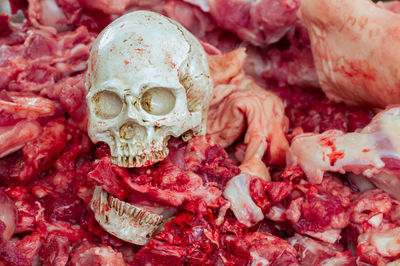 Close-up of human skull on raw messy meat