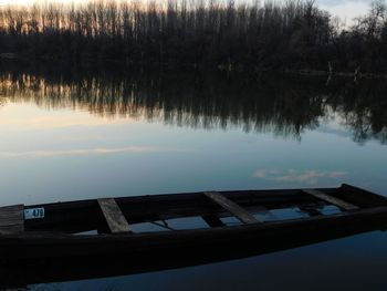 Reflection of trees in water