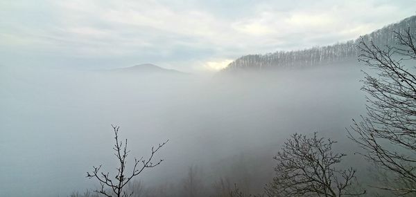 Scenic view of tree mountains against sky during winter