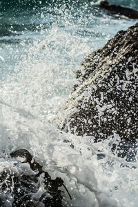 Close-up of sea shore