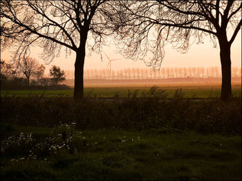 Silhouette bare tree on field against sky during sunset