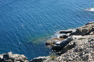 High angle view of rocks on beach