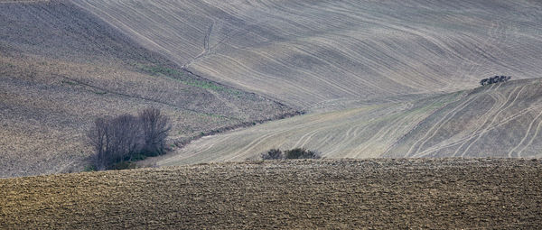 Scenic view of landscape