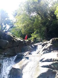 People on rock in forest