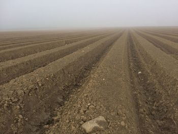 View of plowed landscape against sky