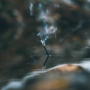 Close-up of an incense stick