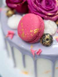 Close-up of dessert in plate