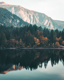 Reflection of trees on lake during autumn