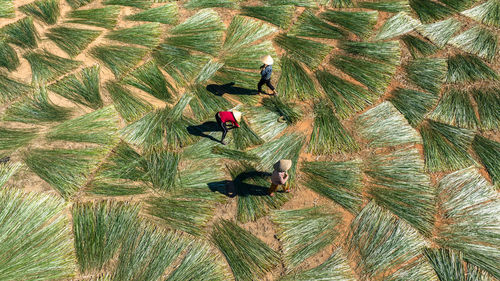 High angle view of people walking on beach