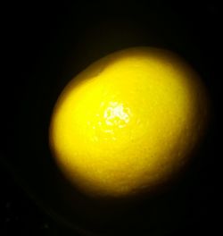 Close-up of lemon against black background