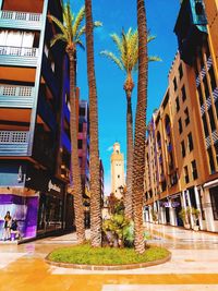 Street amidst palm trees and buildings against sky